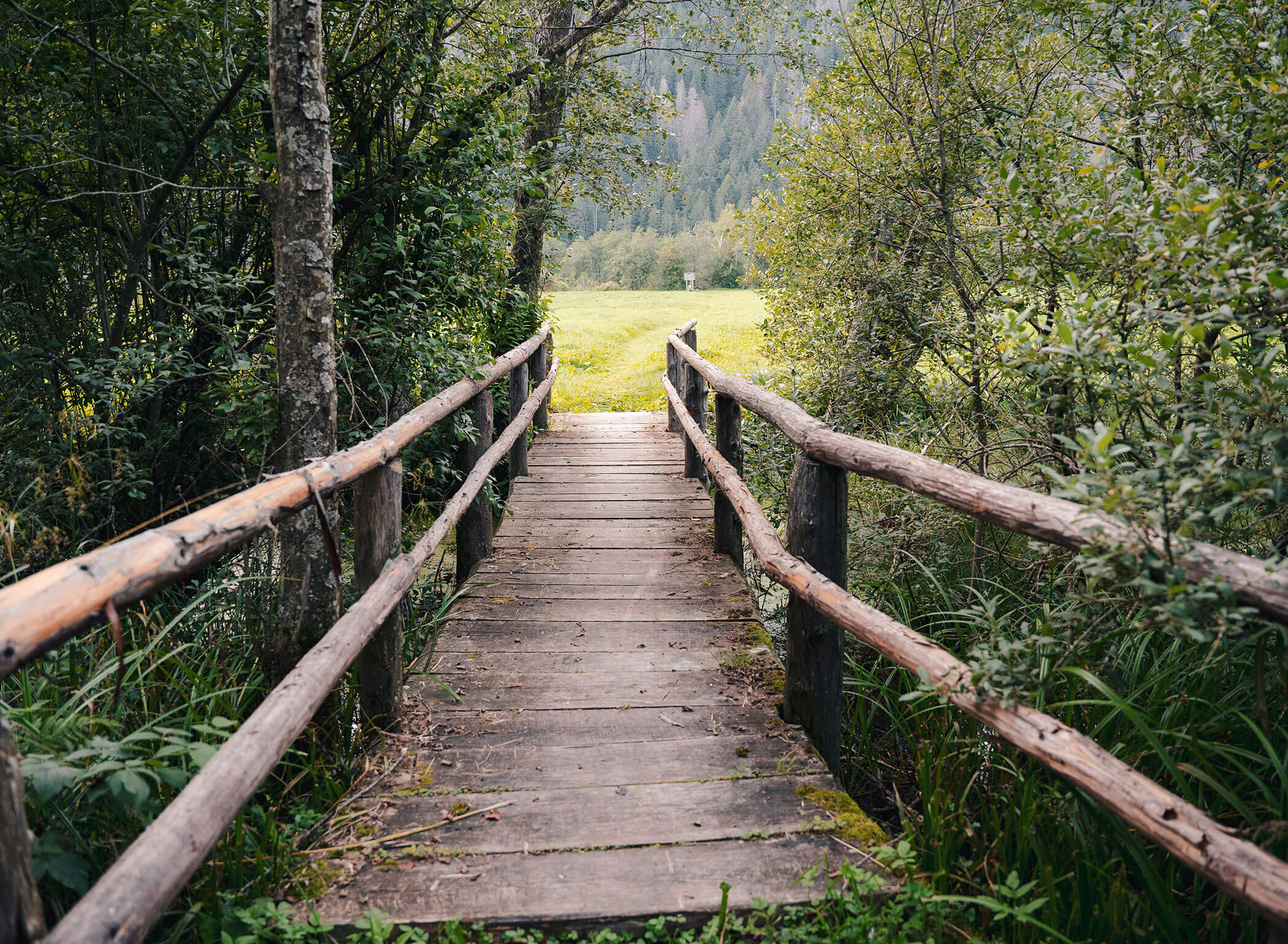 Biotop „Rasner Möser“