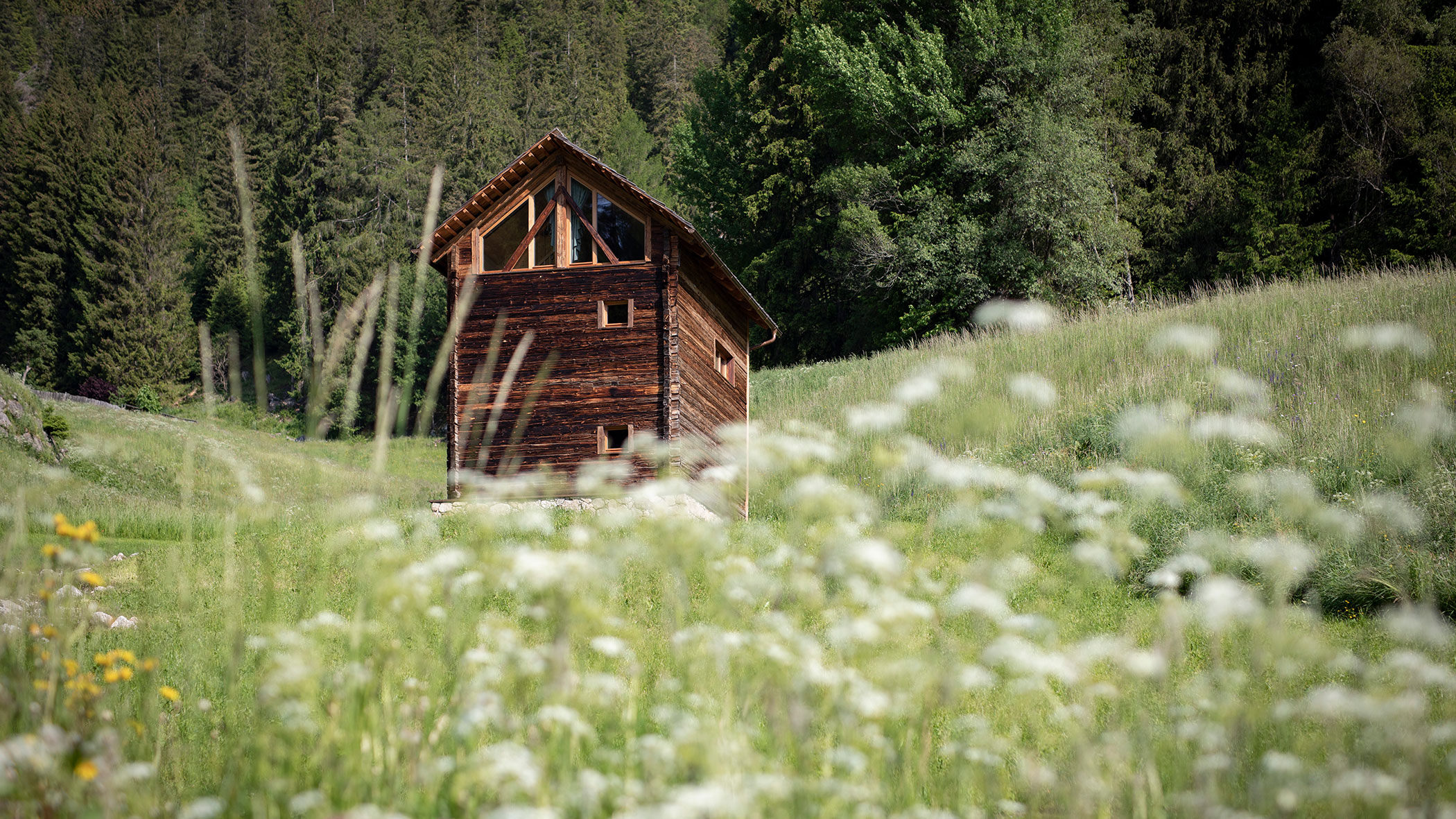 Burgfrieder Mühle im Sommer